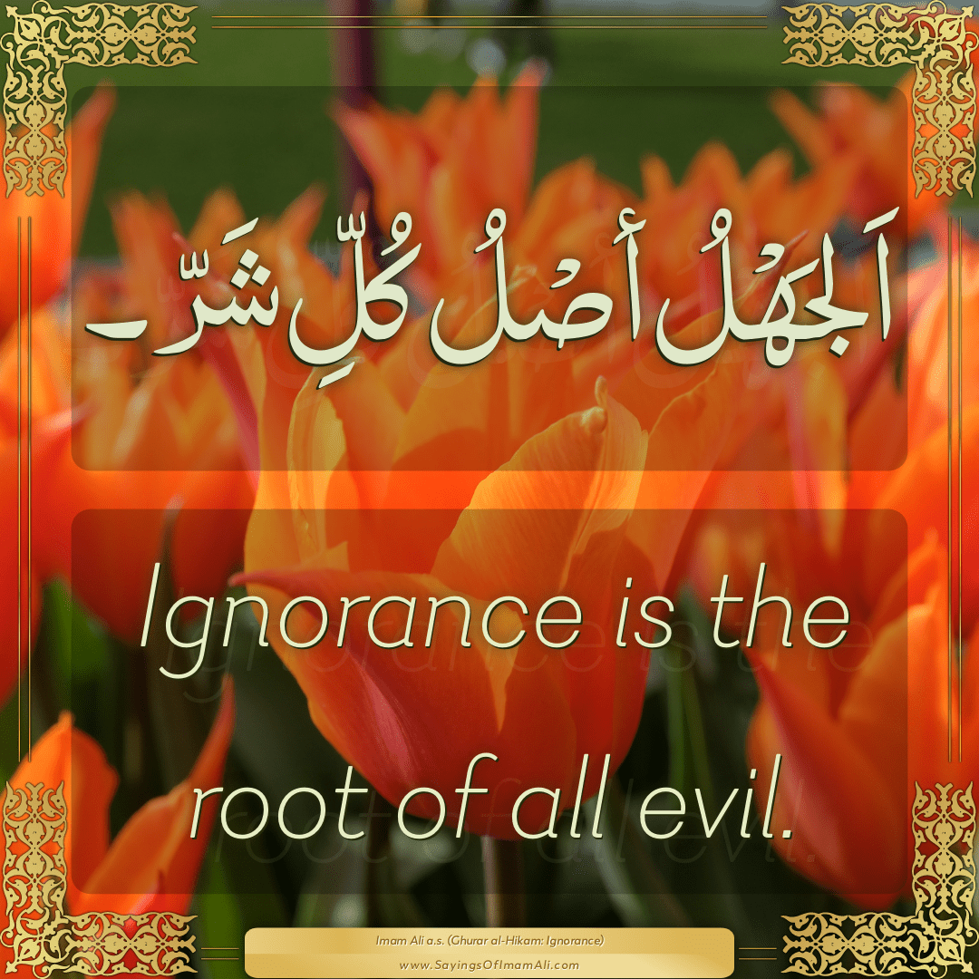 Ignorance is the root of all evil.